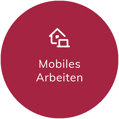 Benefit Mobiles Arbeiten, Karriere bei LKC Gruenwald